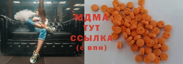 индика Белая Холуница