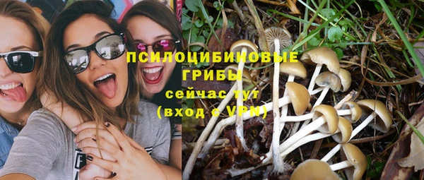 индика Белая Холуница