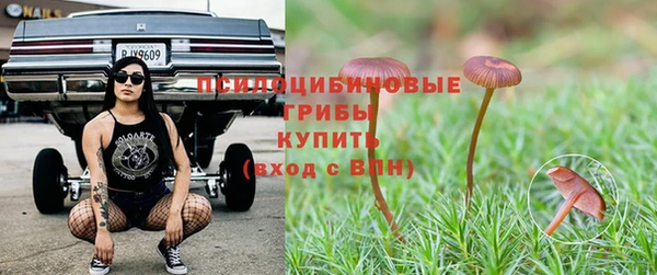 таблы Абинск