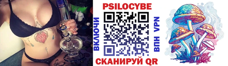 где продают   Мурино  Галлюциногенные грибы Psilocybe 